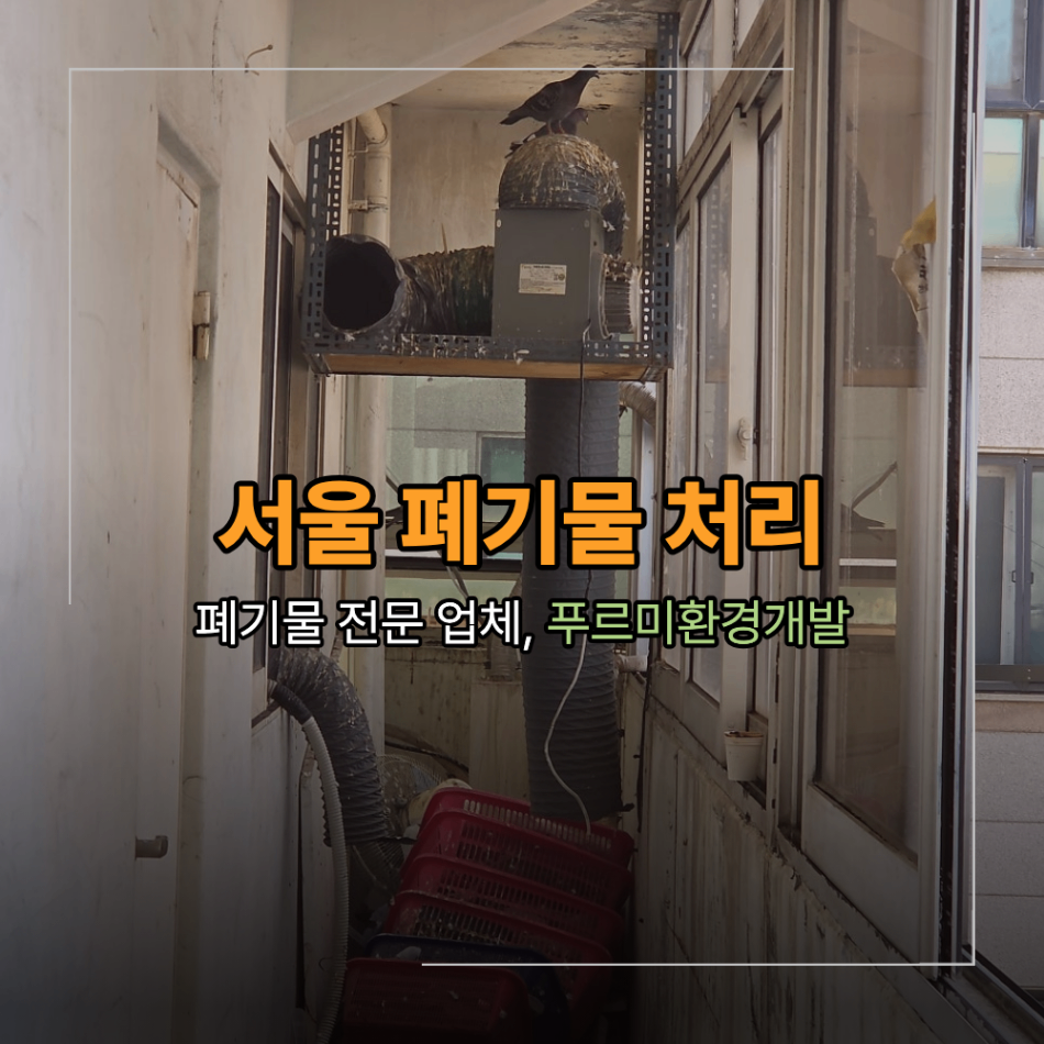 서울 퇴계로 비둘기 퇴치 및 폐기물 처리 둥지 배설물 정리